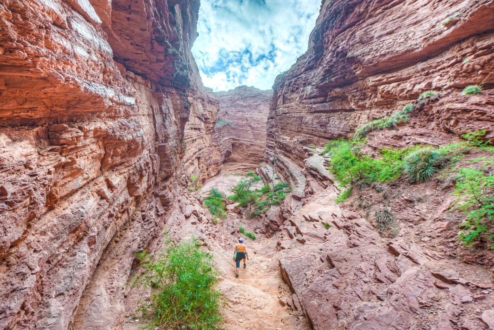 Puerto Iguazu - Salta