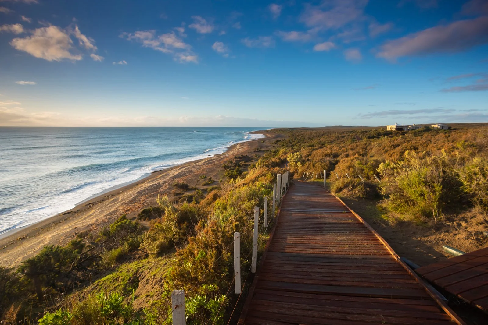 Puerto Madryn - Penisola Valdes - Puerto Madryn