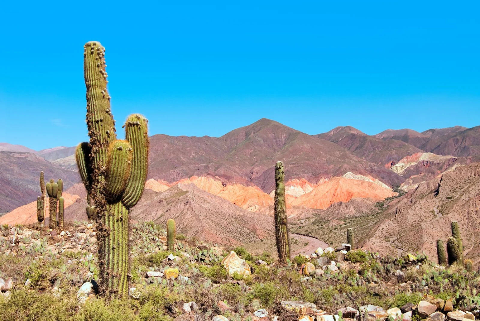 Purmamarca - Humahuaca - Salta