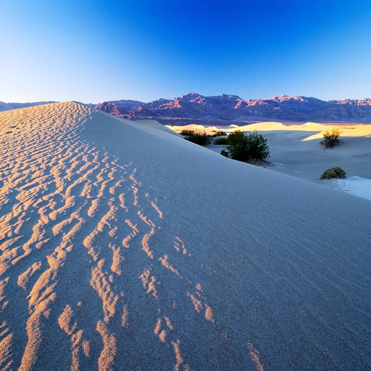 From L.A. To Vegas - Death Valley National Park