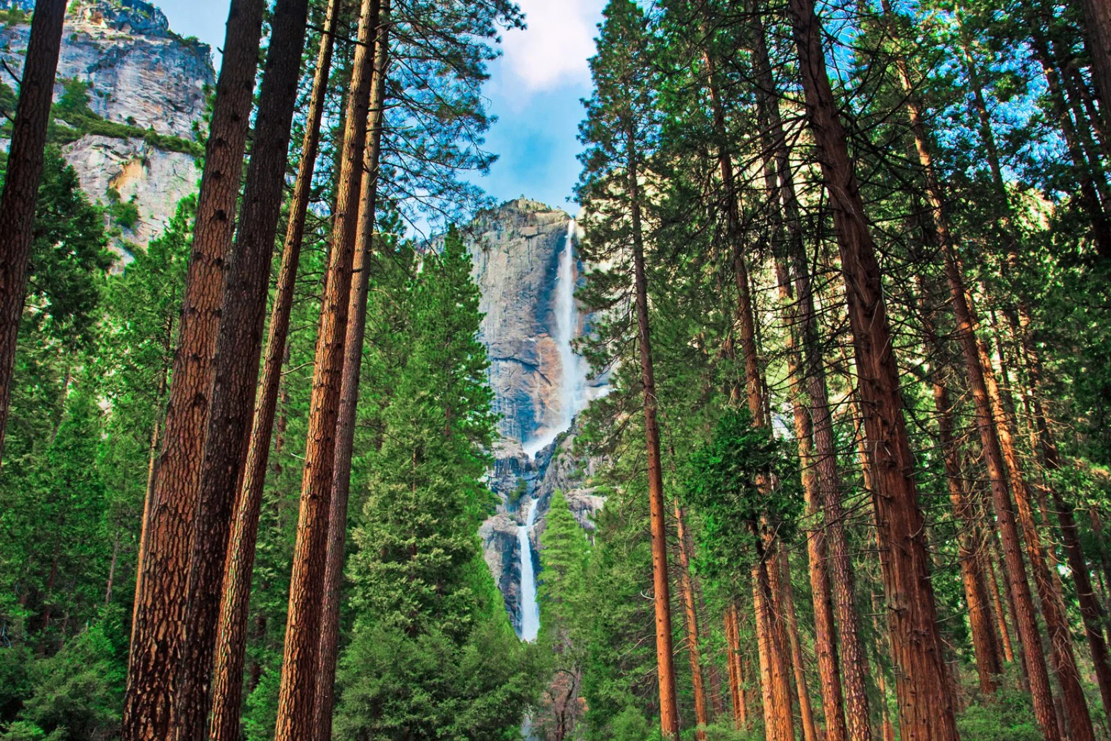 L'Oro Del West Da San Francisco - Yosemite National Park