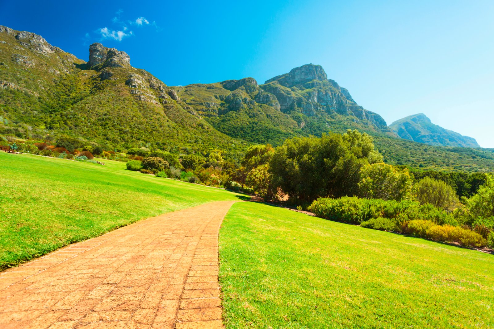 South Africa Explorer - Sudafrica, Cape Town, Giardino Botanico Kirstenbosch