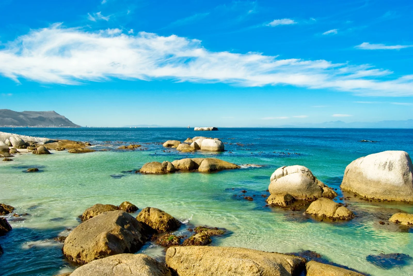 Città del Capo - Penisola del Capo - Città del Capo
