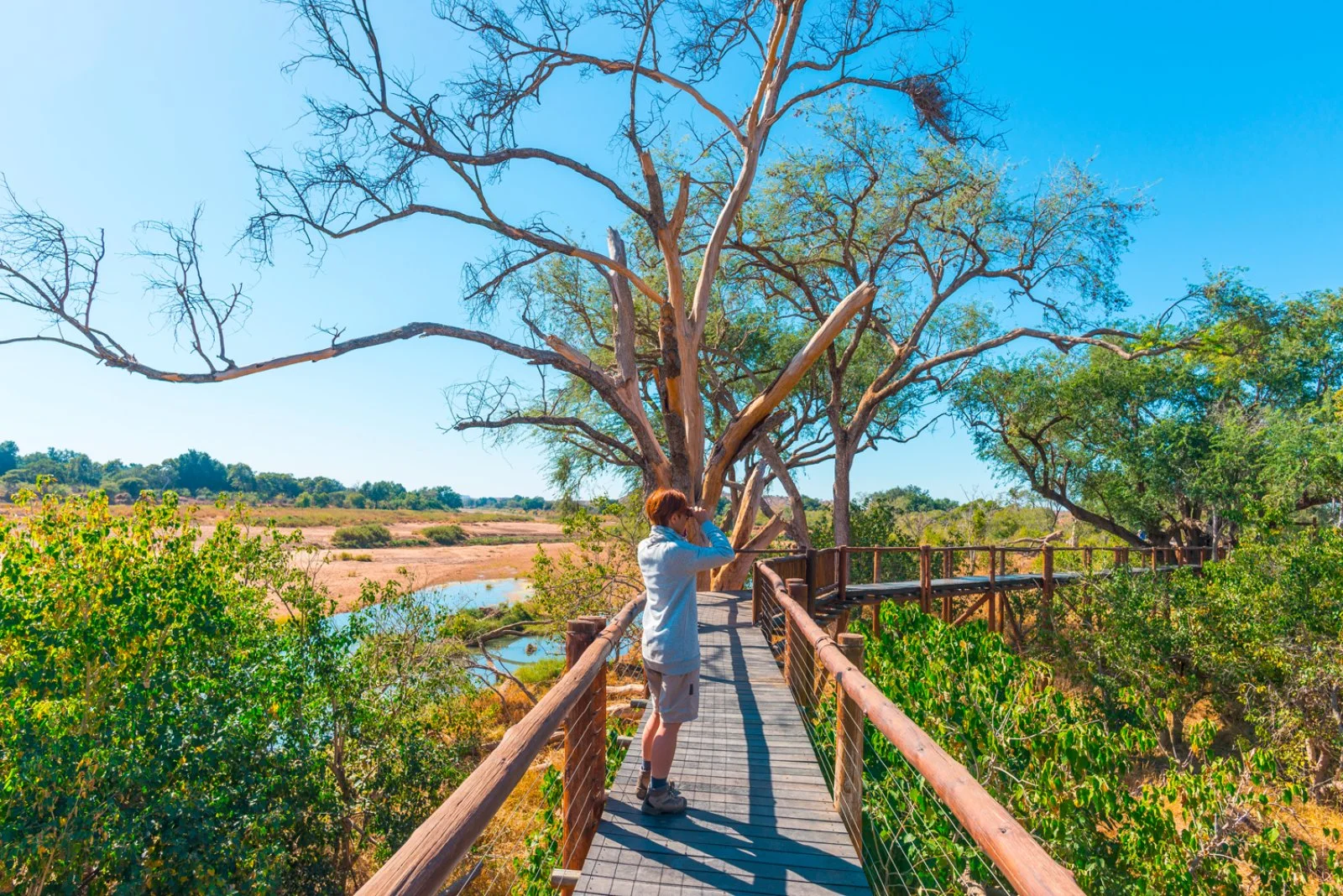 Parco Kruger - Mpumalanga