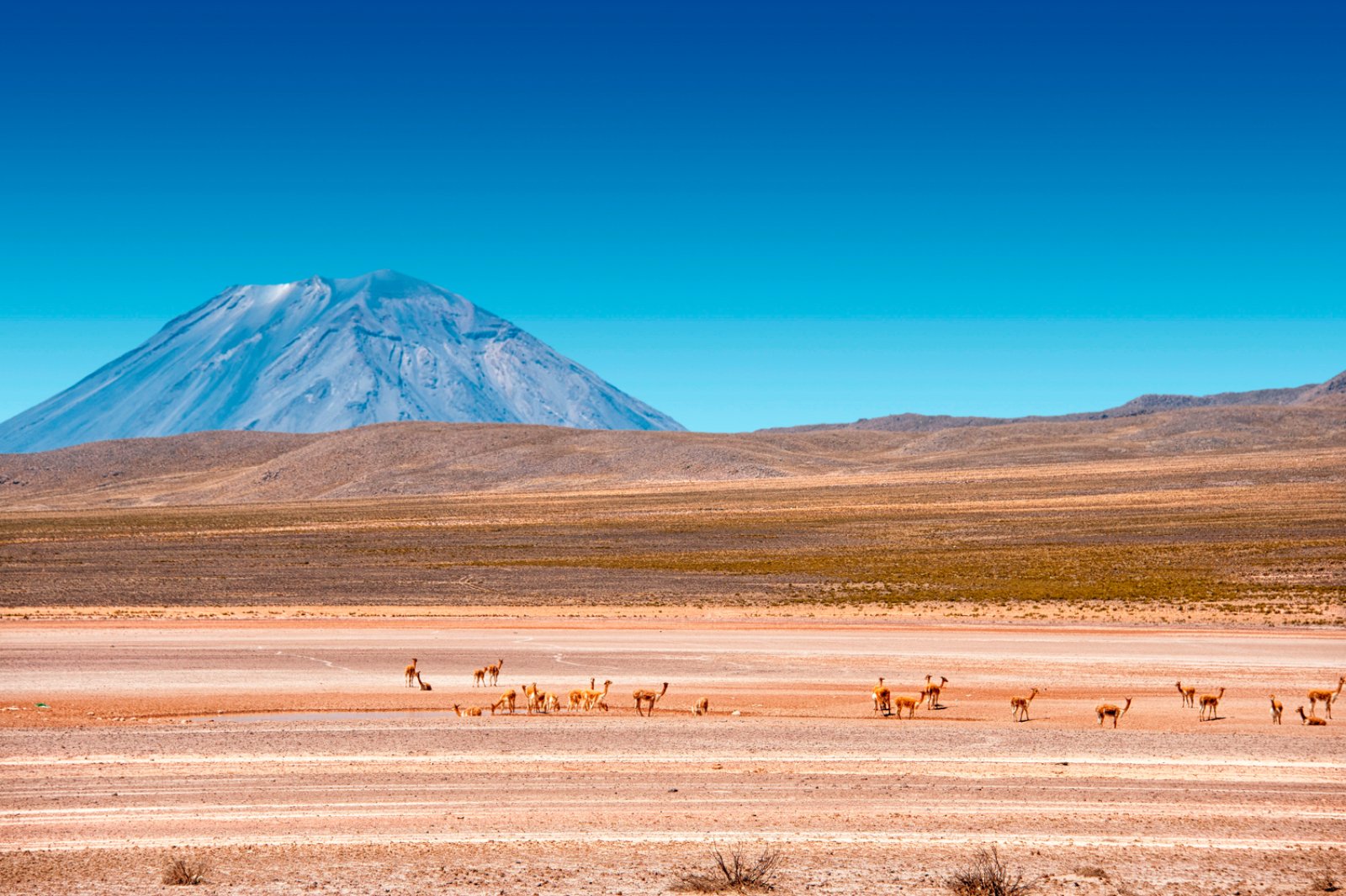 Peru' Archeologico 