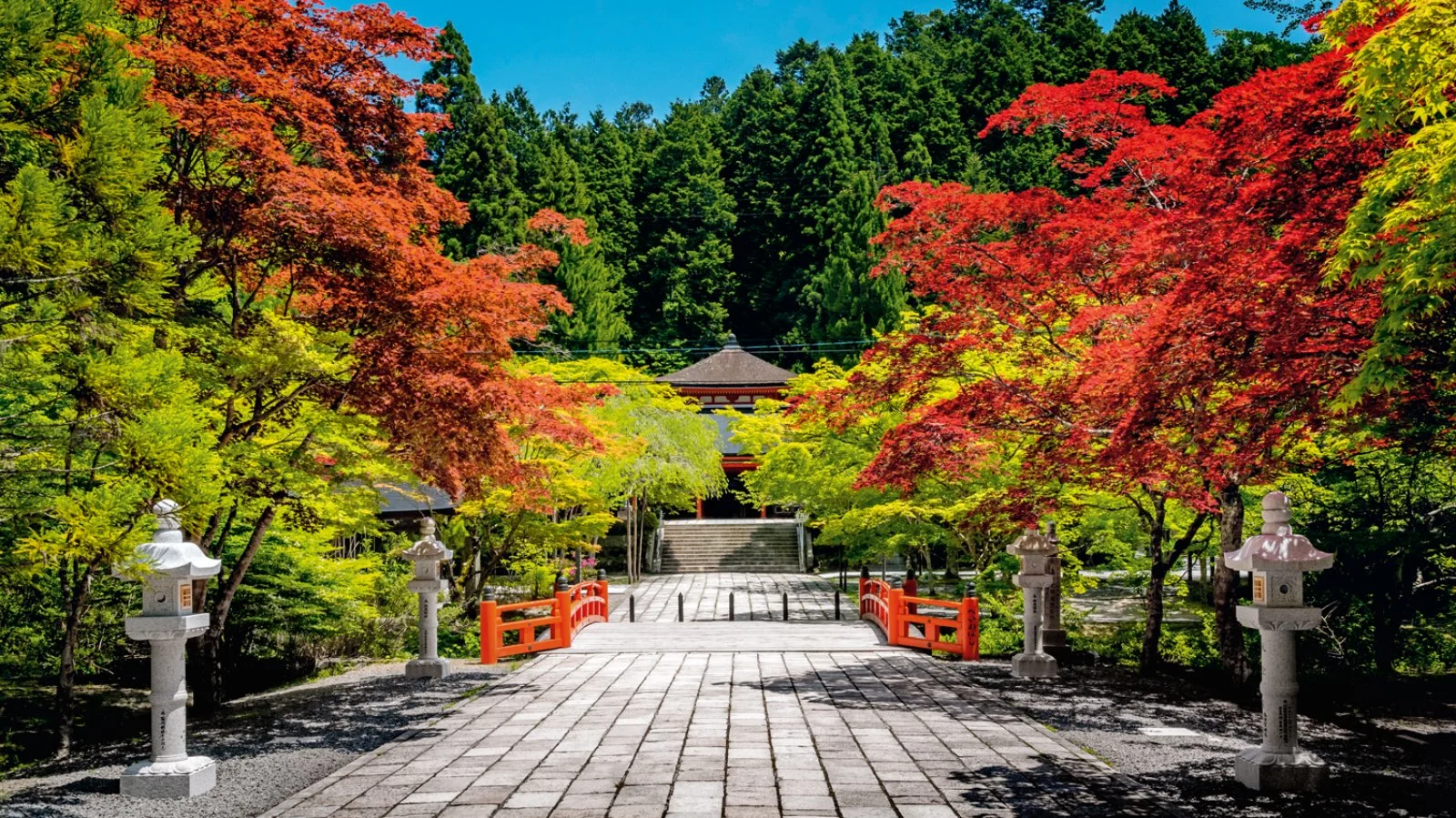 Japan & Soul 