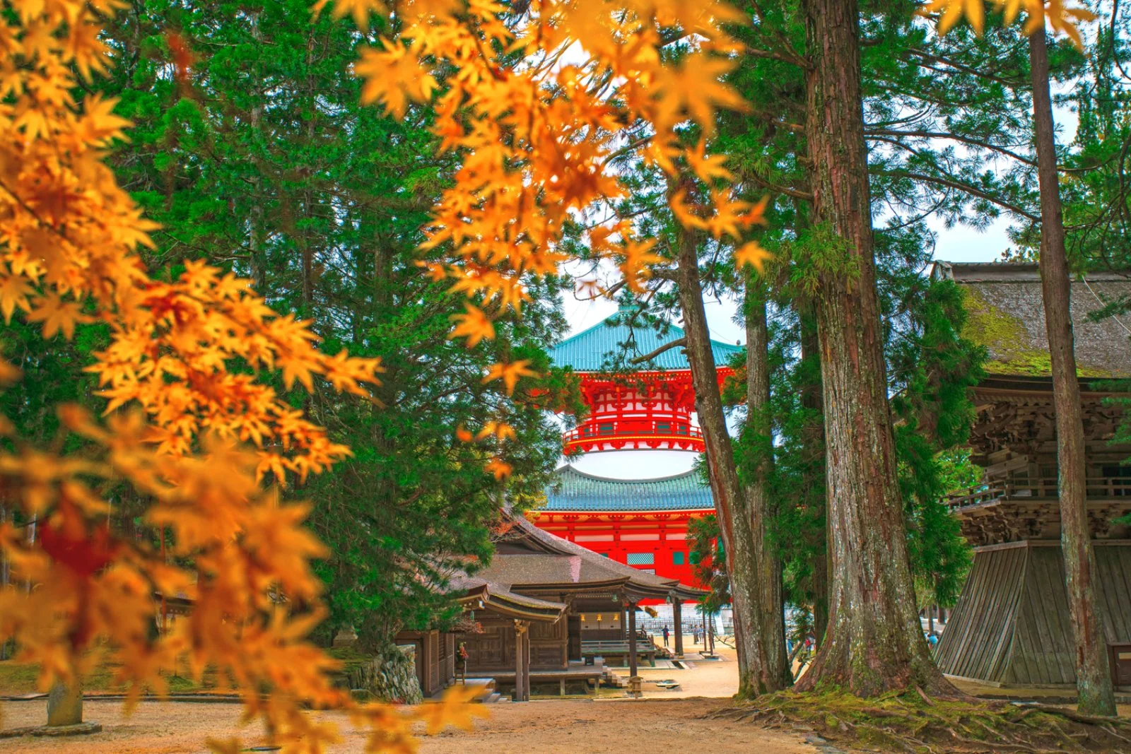 Japan & Soul 
