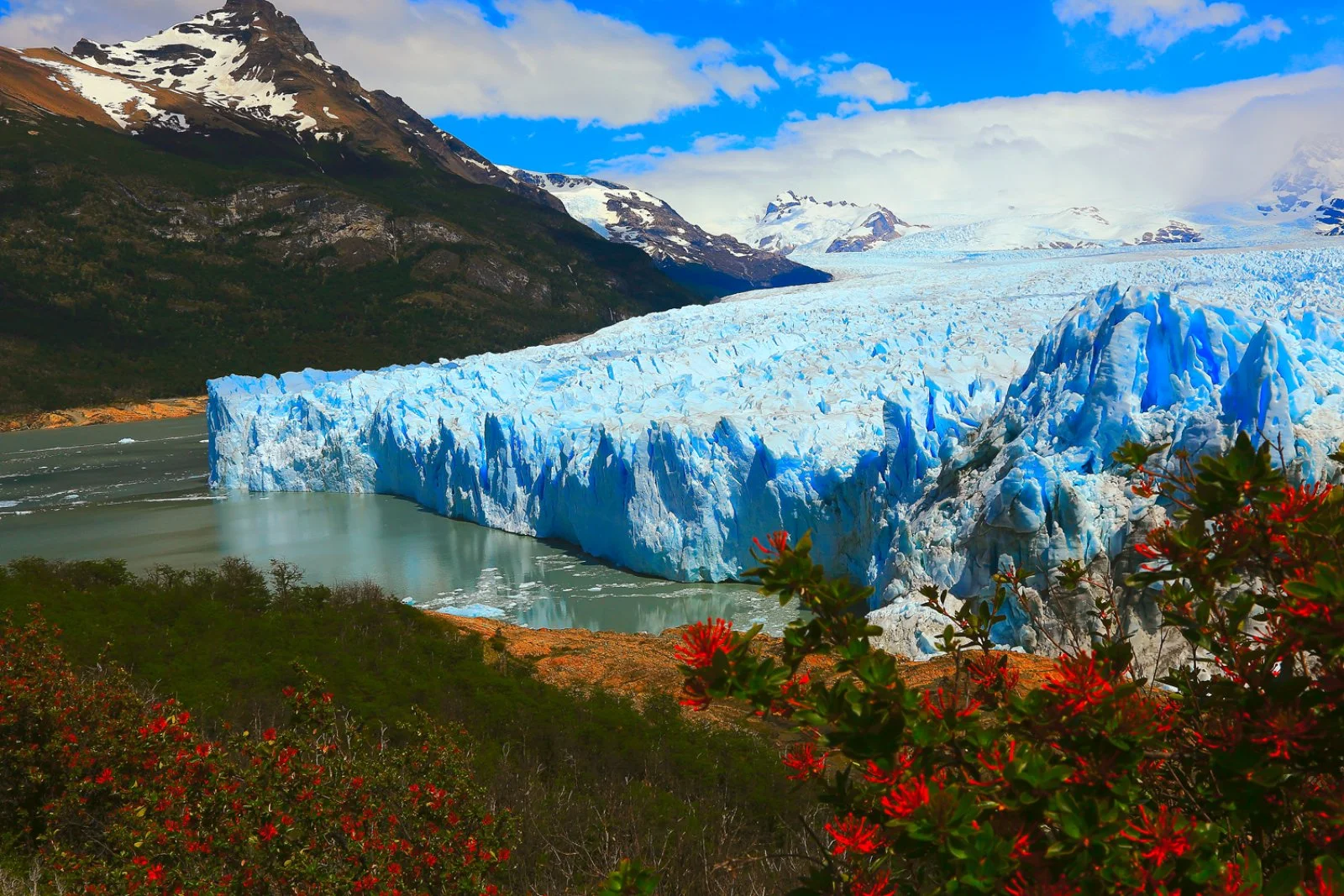 El Calafate - Ghiacciaio Perito Moreno - El Calafate