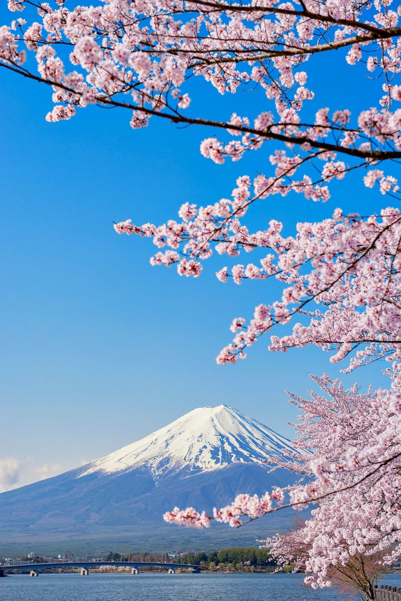 Voyager Hanami E Seychelles - Monte Fuji, Giappone