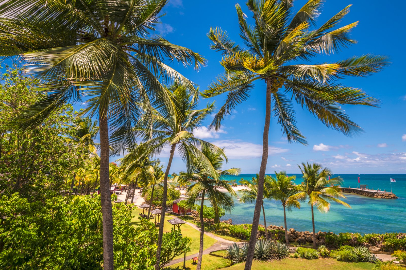 Caraibi Francesi 