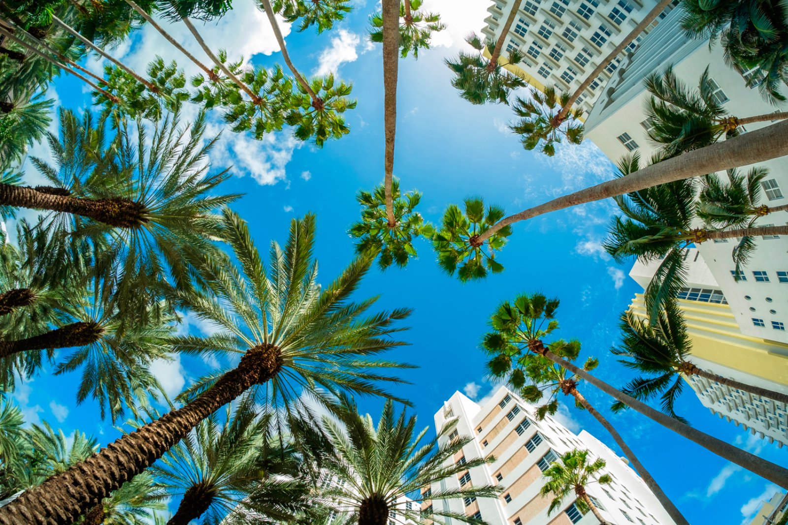 Florida E Bahamas - Miami Beach