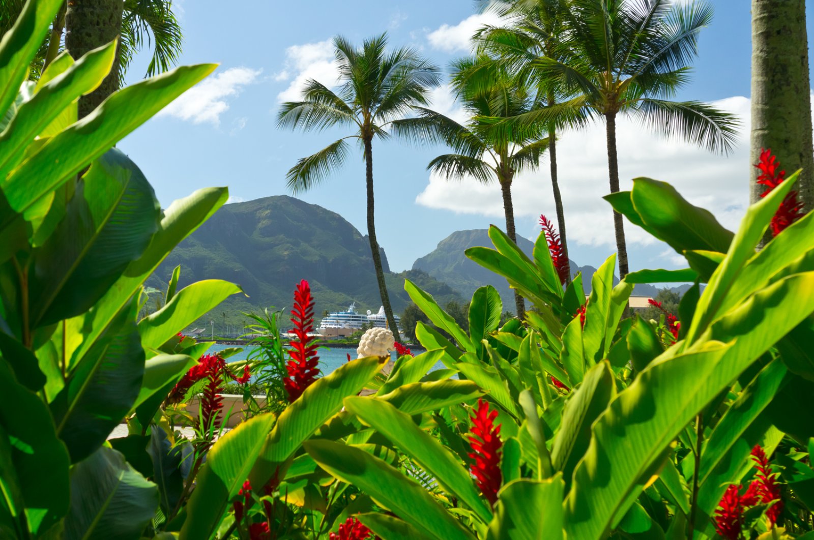 Hawaiian Dream - Kauai