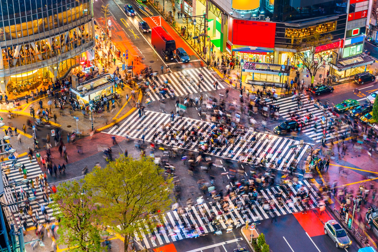 Free Japan - Shibuya, Tokyo