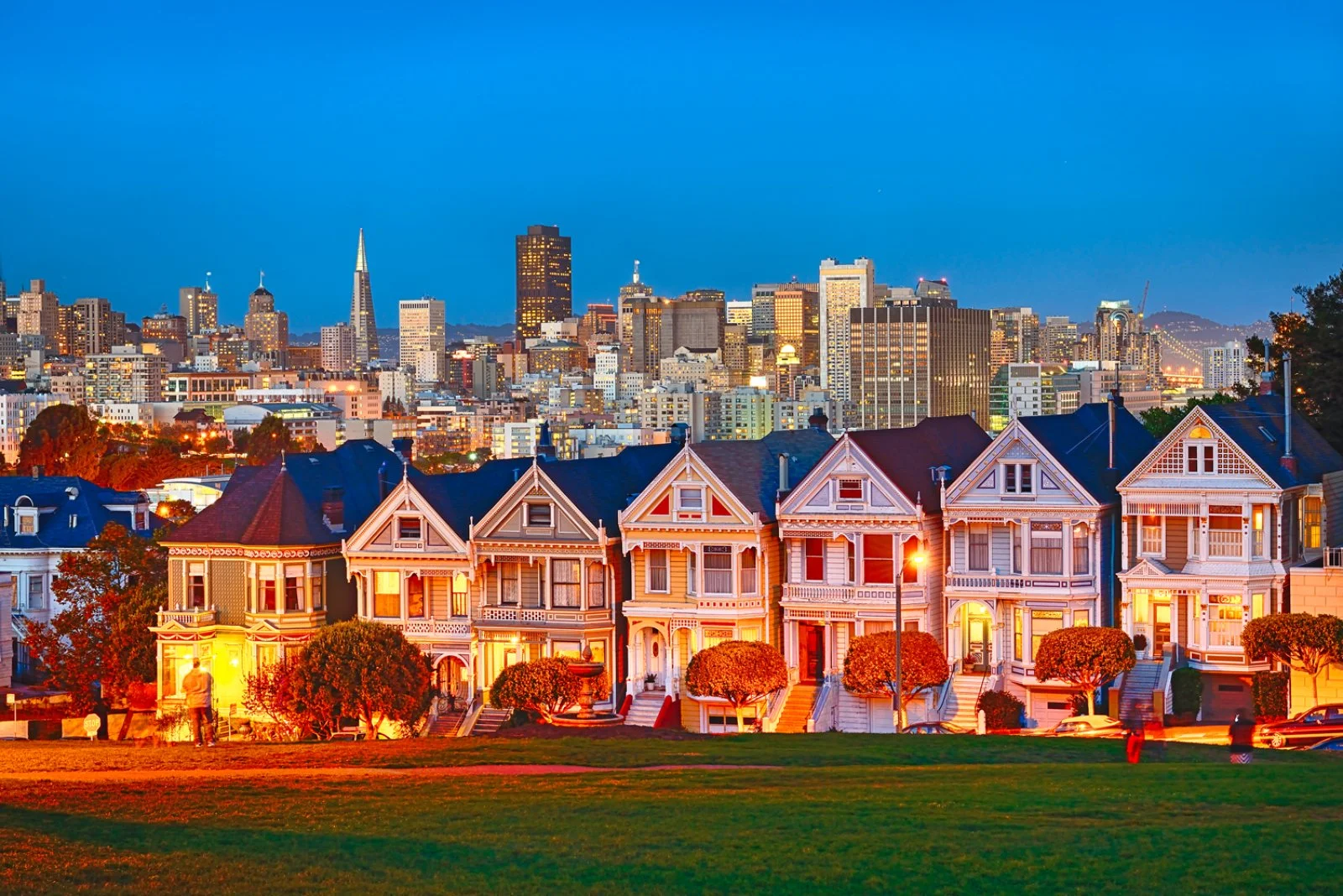 Parchi Dell'Ovest E Mare - San Francisco, "Painted Ladies"