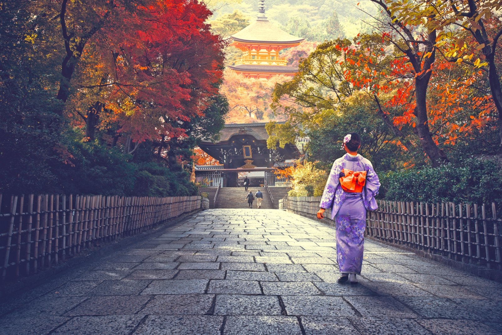 Giappone E Polinesia - Giappone, Donna In Kimono Su Ponte