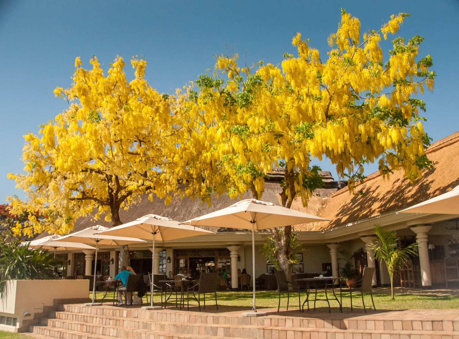 Ilala Lodge 