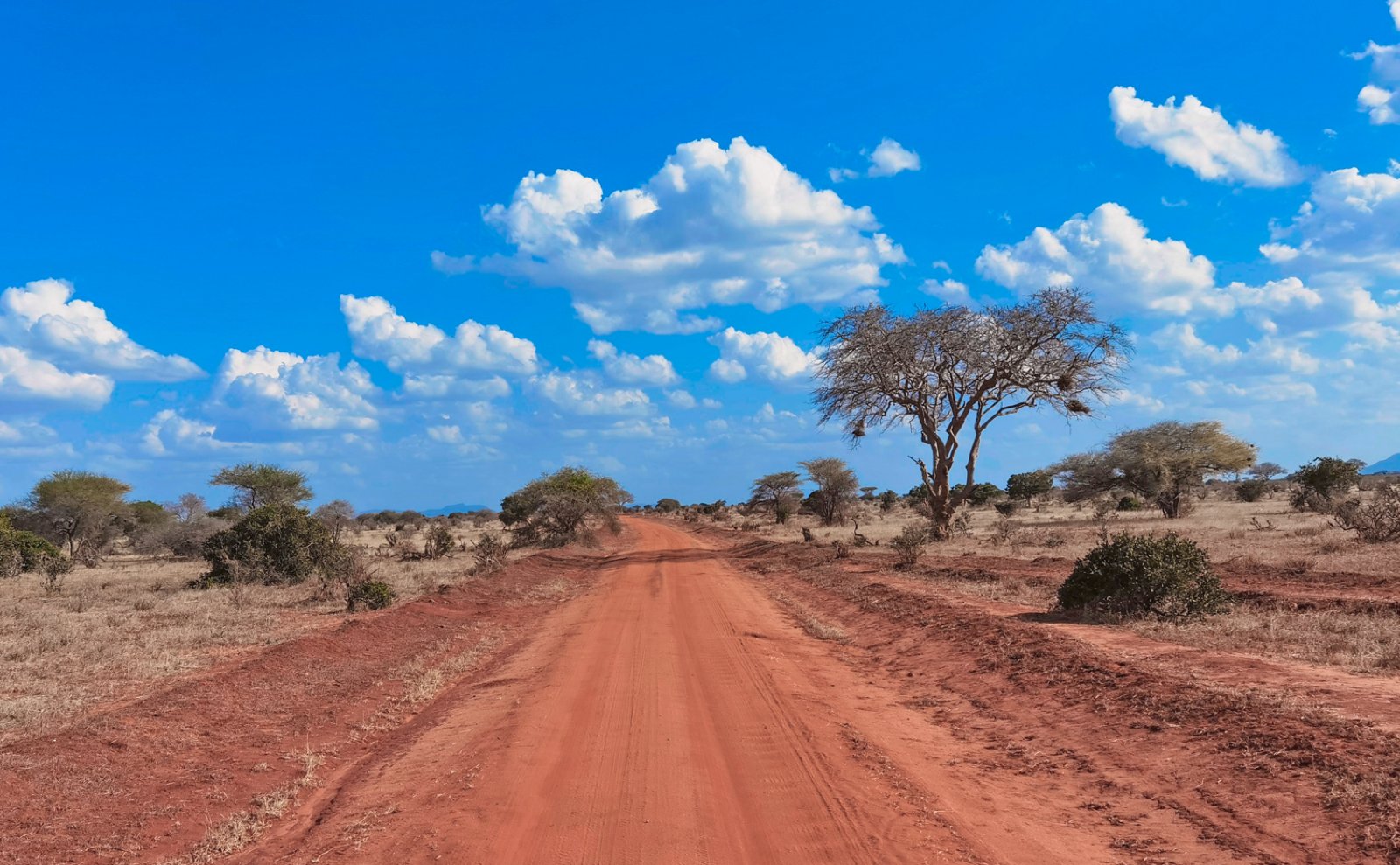 Tsavo In Style - Finch Hatton'S Camp - Tsavo National Park