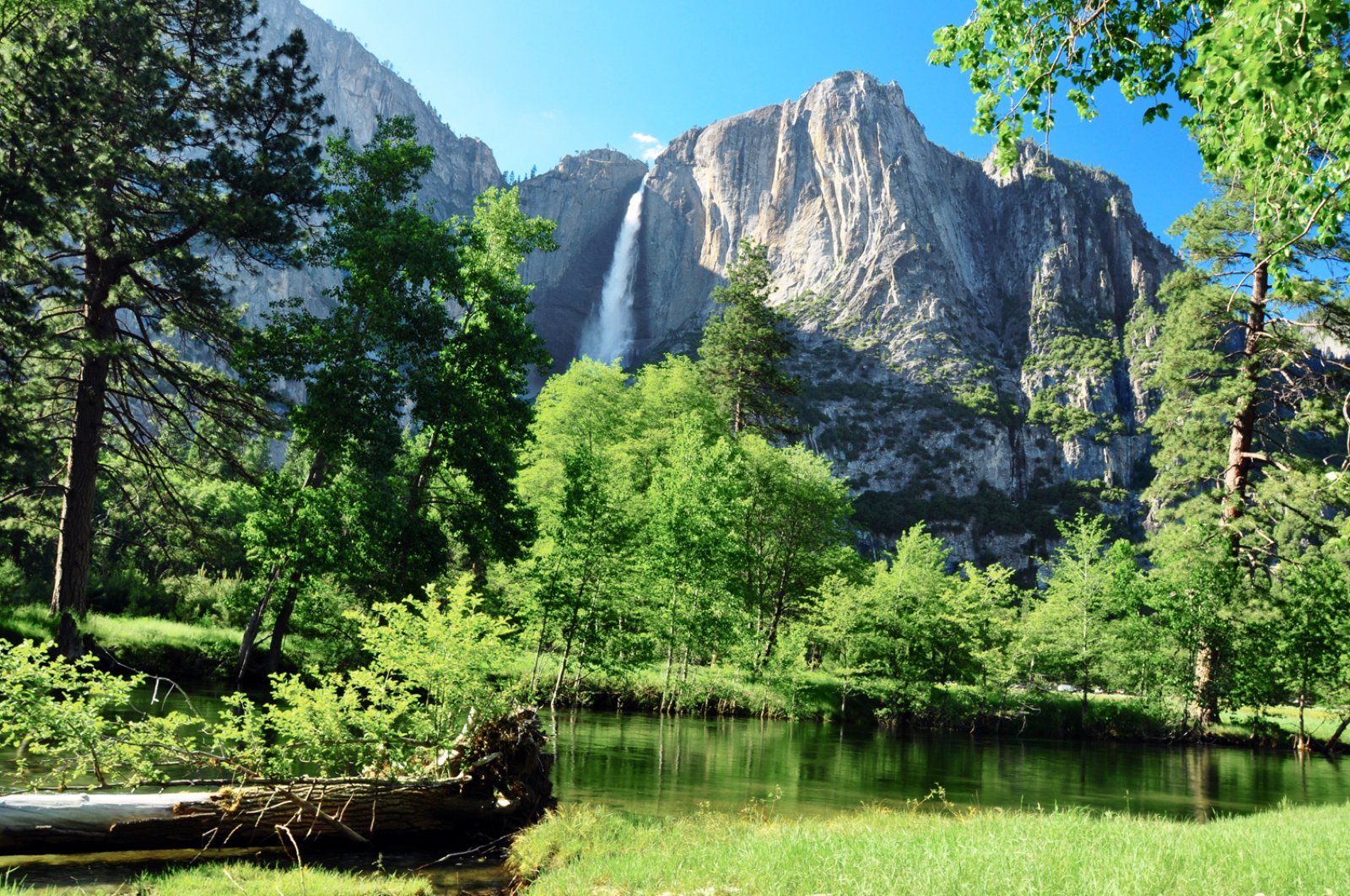 Triangolo Dell'Ovest - California, Yosemite National Park