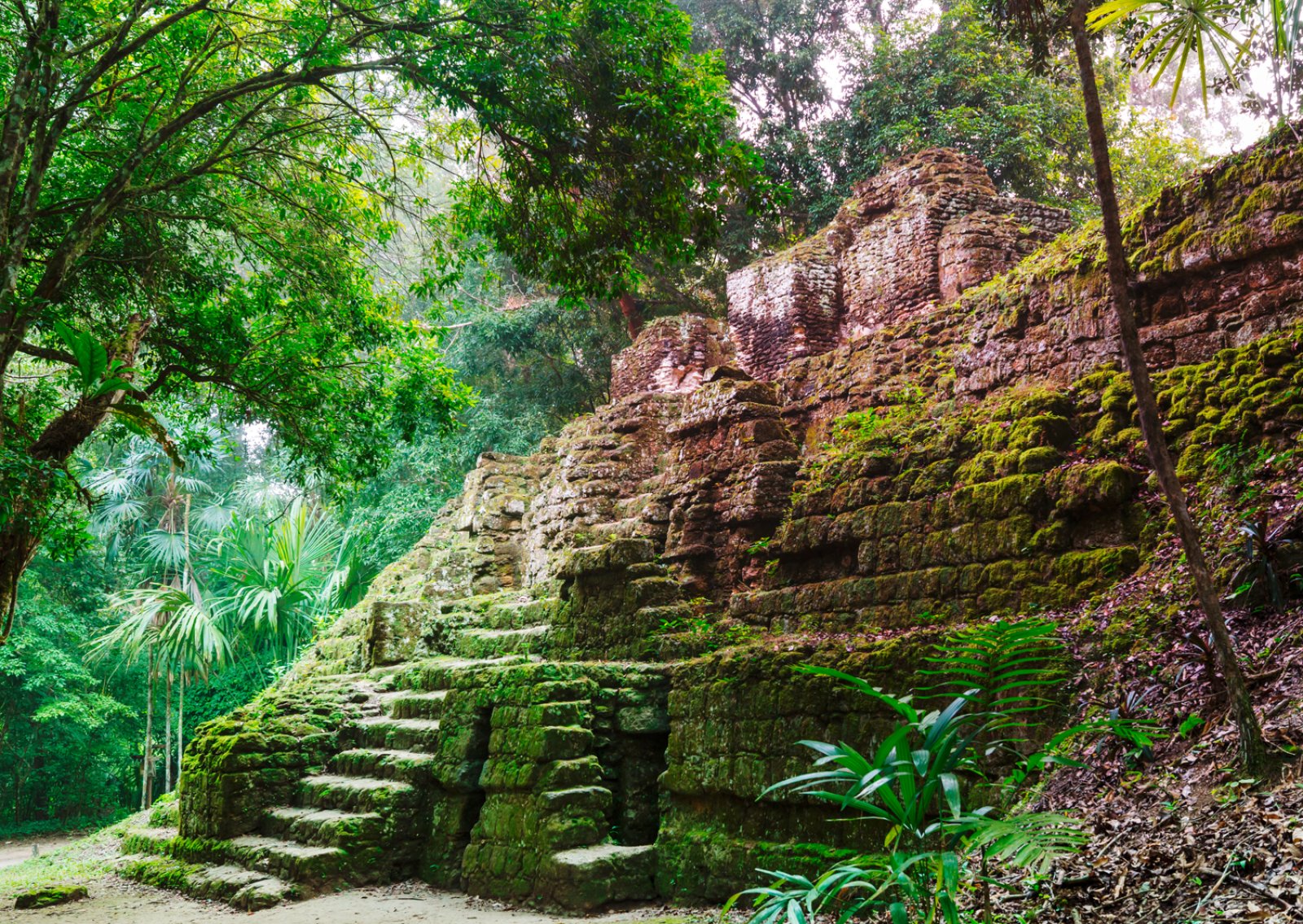 Guatemala Caraibico E Belize 