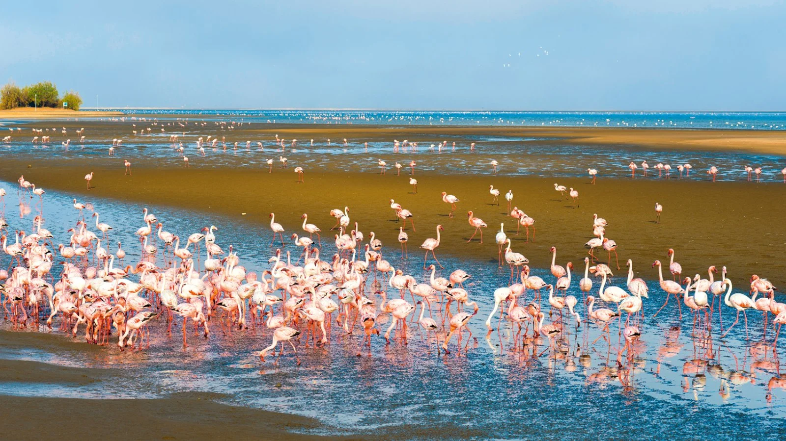 Swakopmund – Walvis Bay - Swakopmund