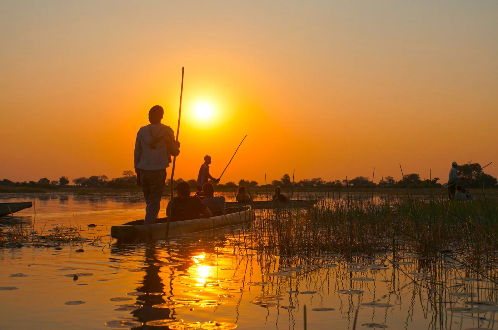 Natura Selvaggia - Botswana