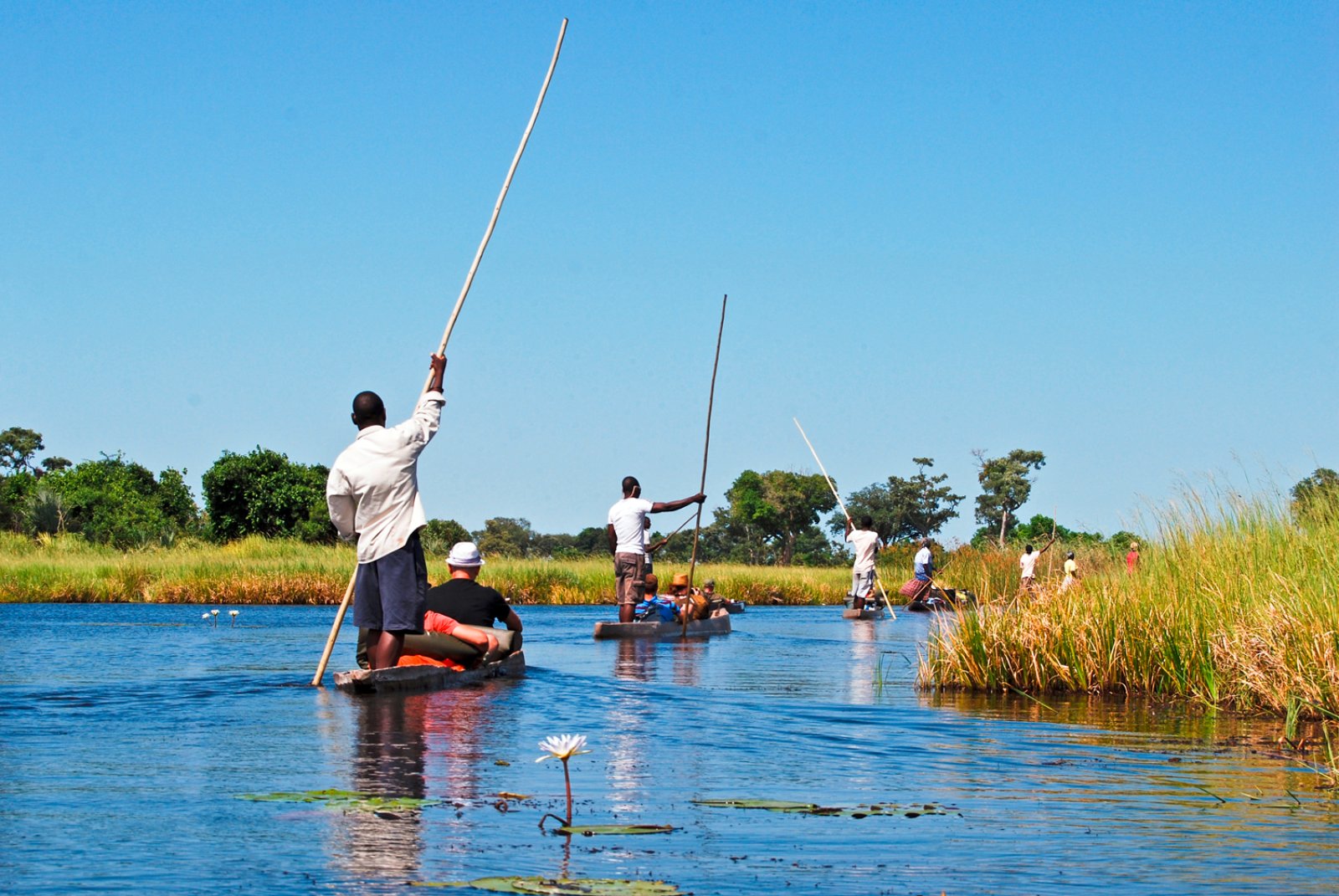 Natura Selvaggia - Botswana