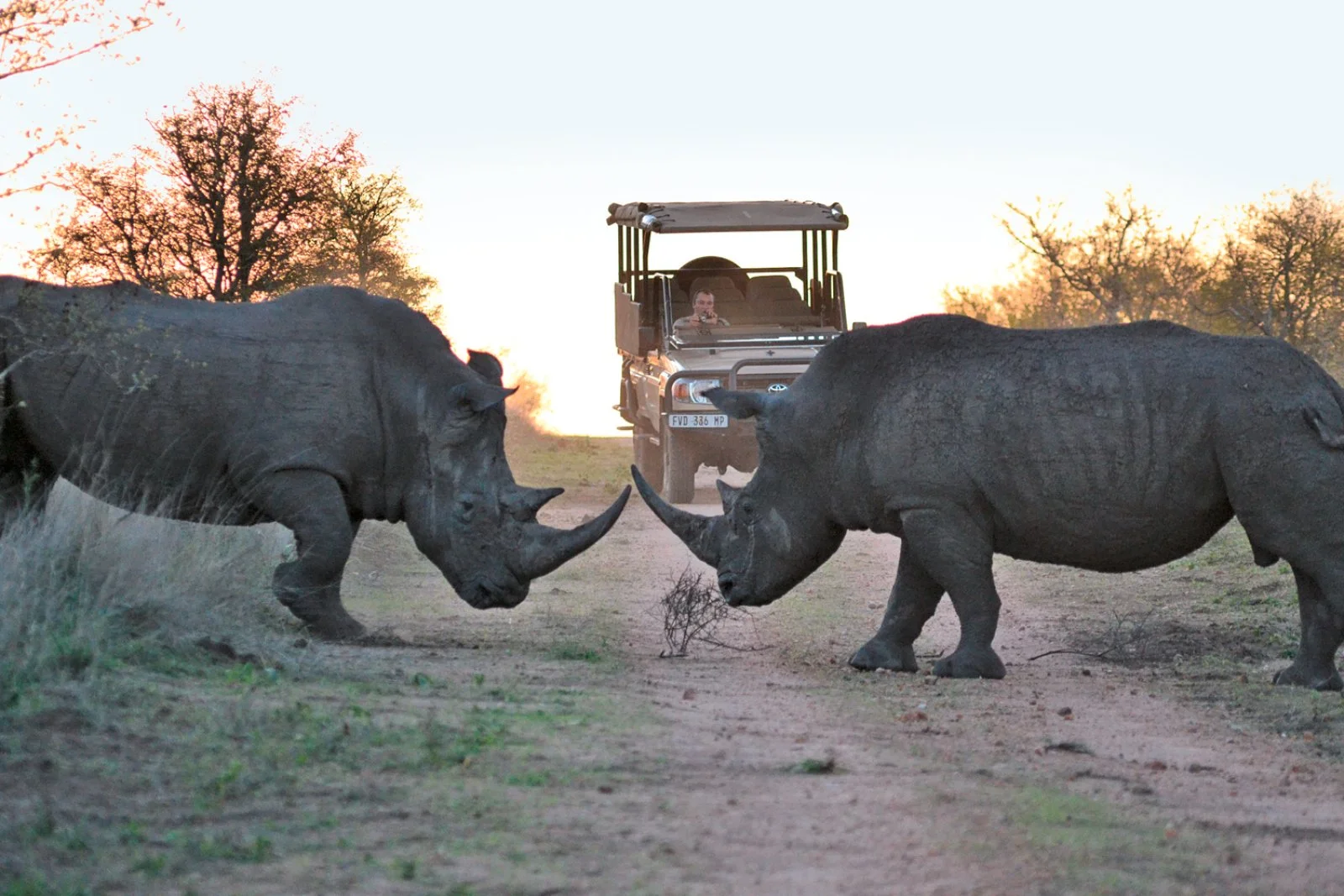 Parco Kruger - Johannesburg