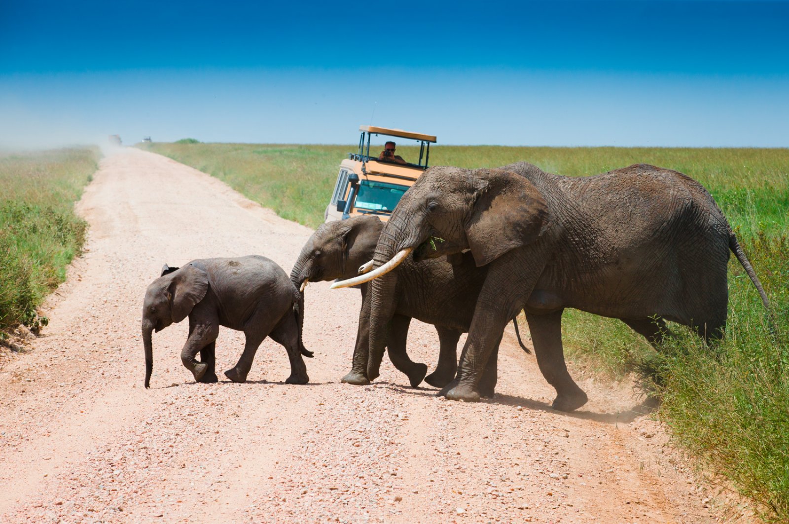 Voyager South Africa - Serengeti National Park