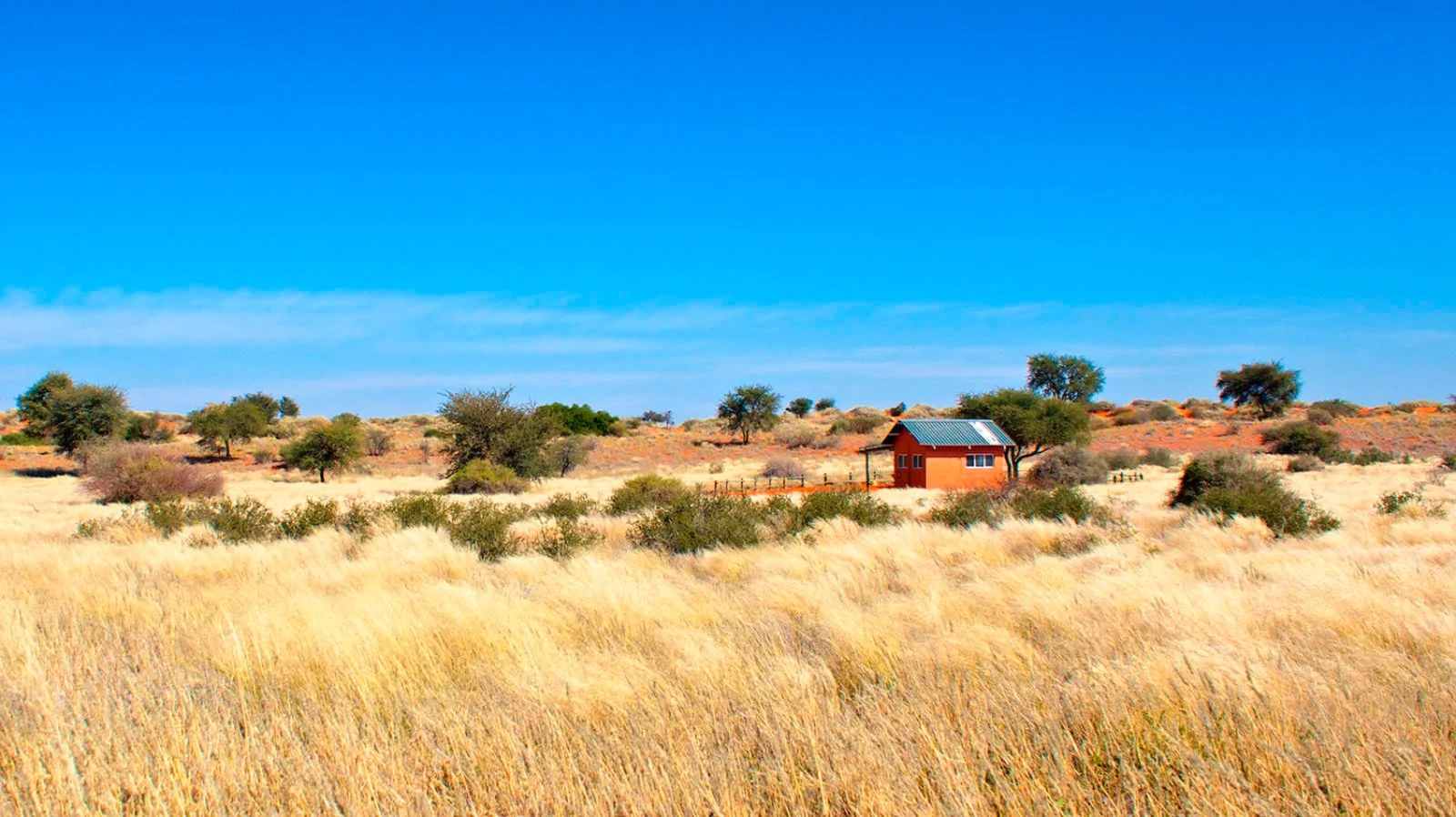 Bagatelle Kalahari Game Ranch 