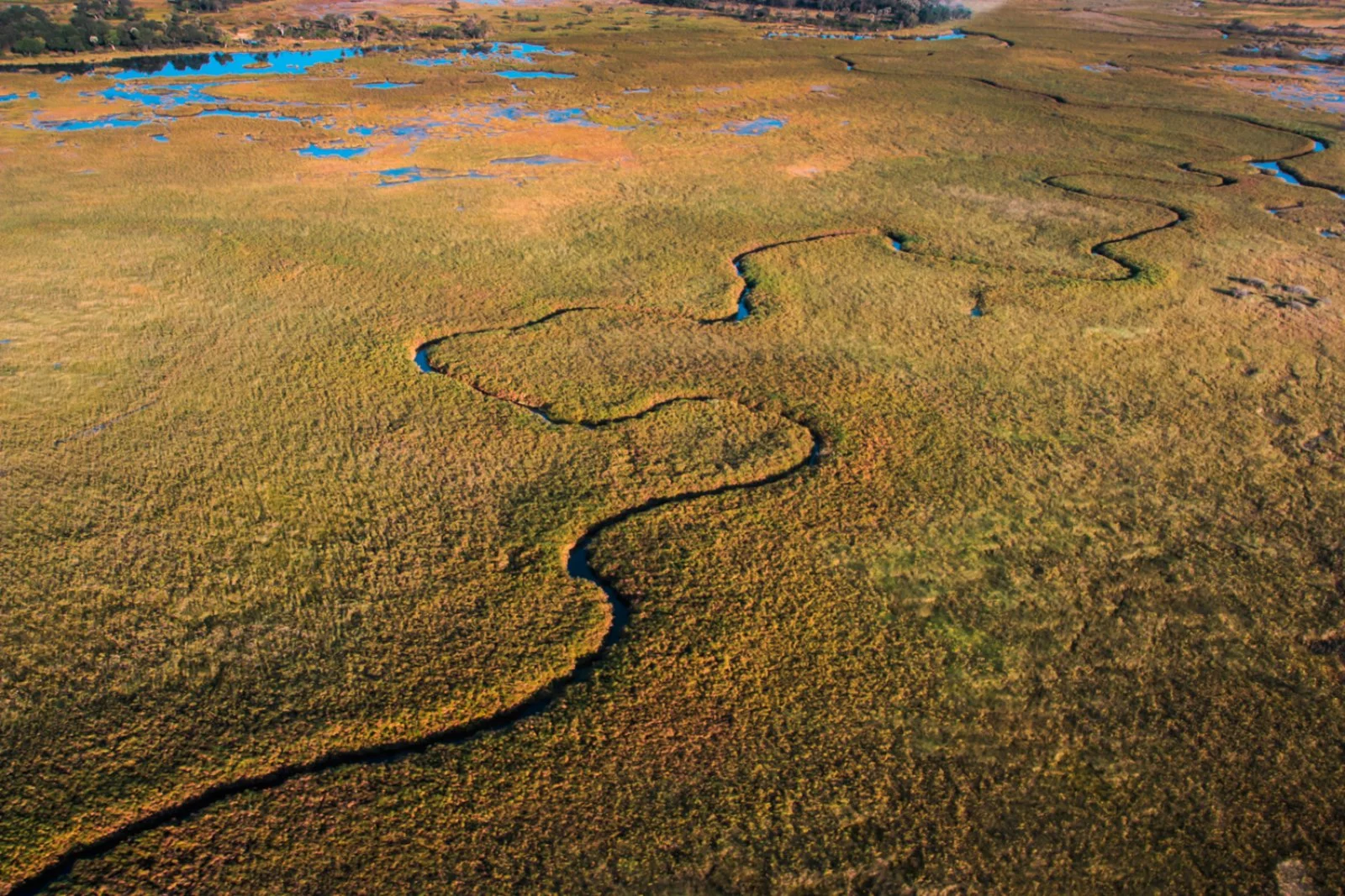 Voyager Okavango 