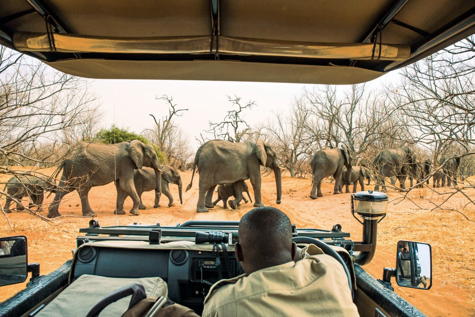 Voyager Okavango - Chobe National Park