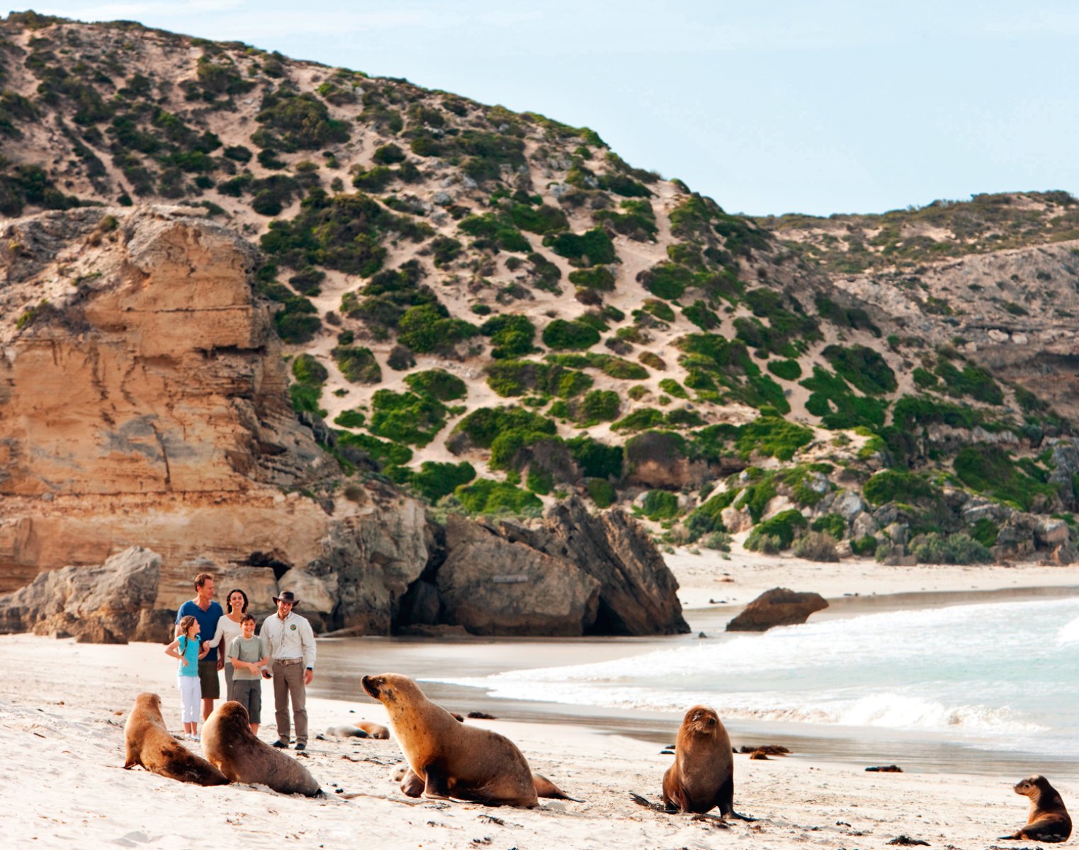 Kangaroo Island Panorama 