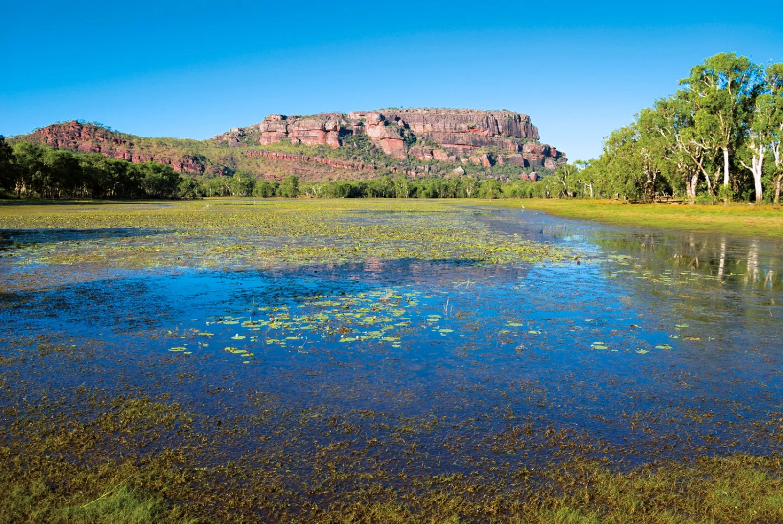 Alligator River E Kakadu 