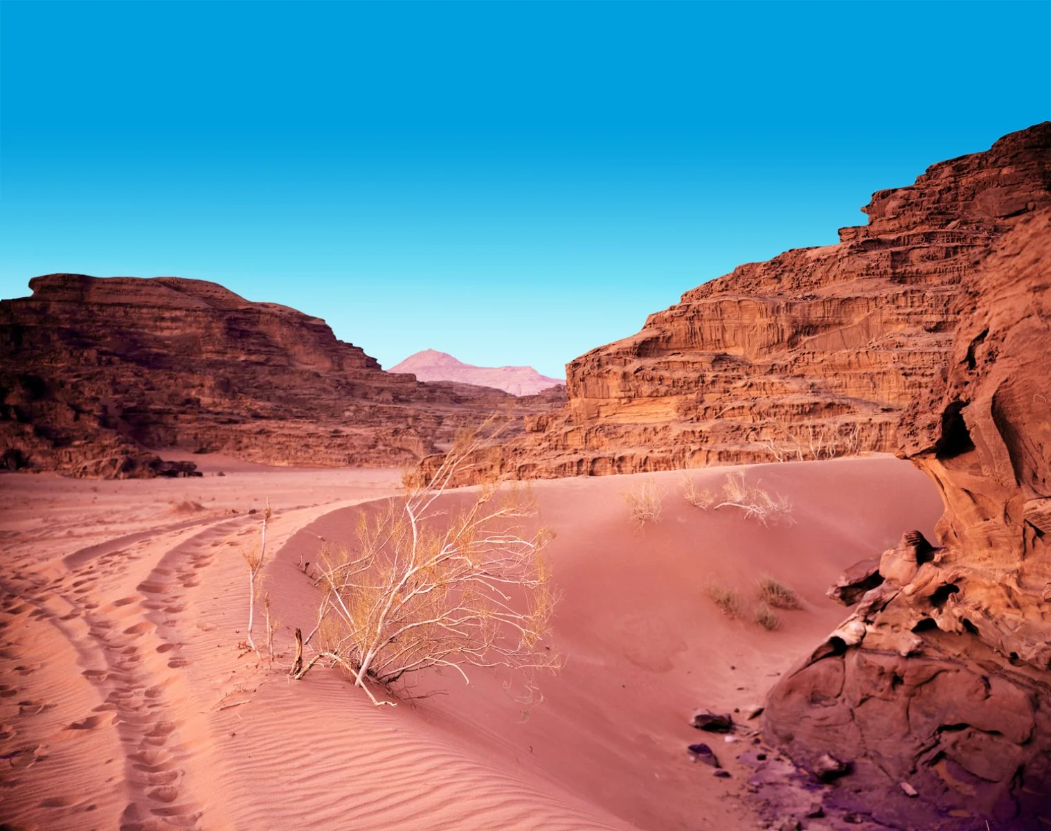 Lawrence - Wadi Rum Desert