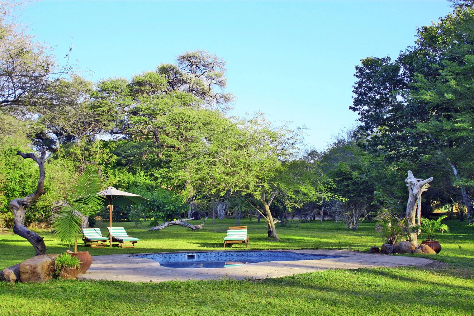 Elephant Valley Lodge - 2 Notti Elephant Valley Lodge - 2 Notti