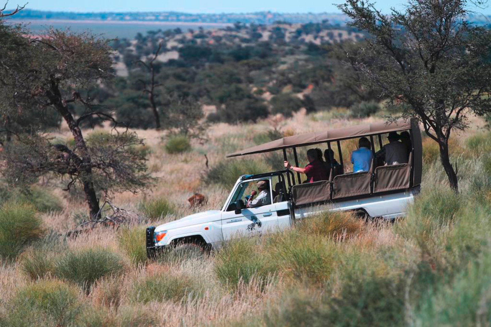 Zebra Kalahari Lodge 