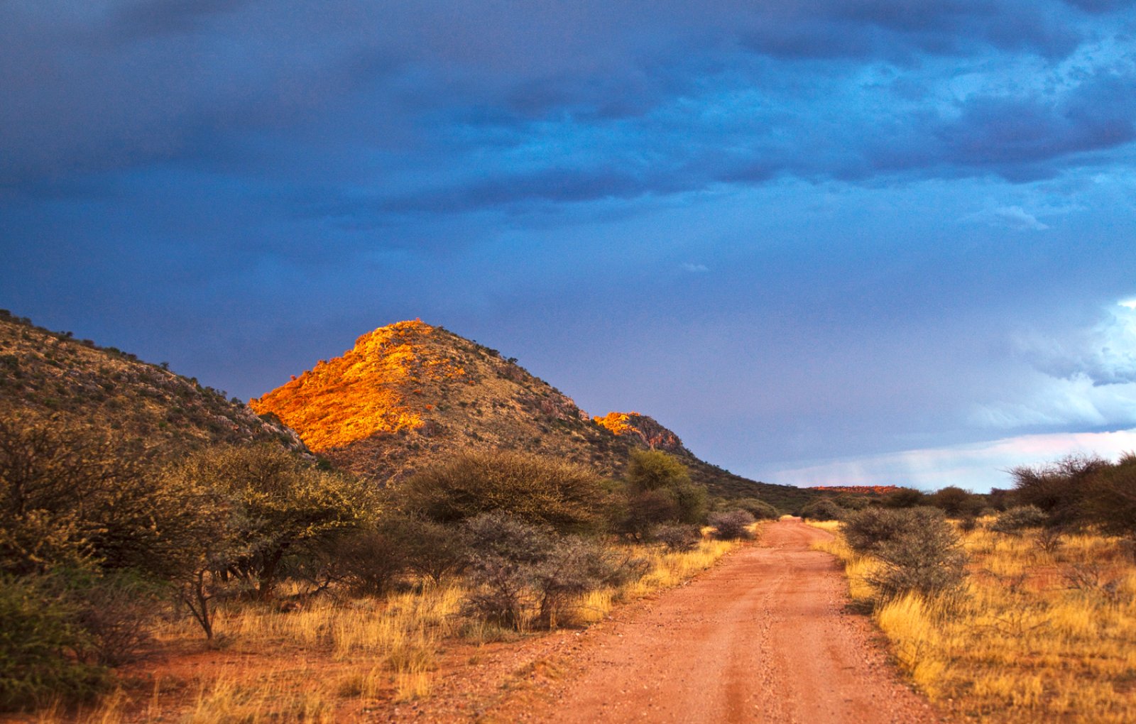 Il Meglio Della Namibia 