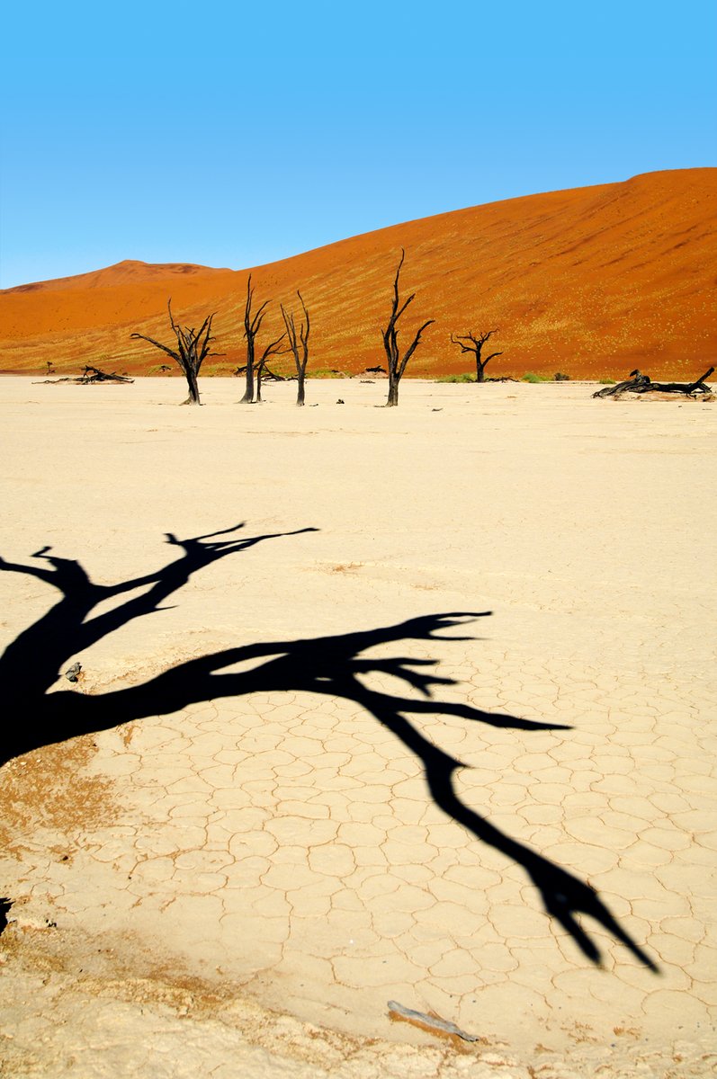 Il Meglio Della Namibia 