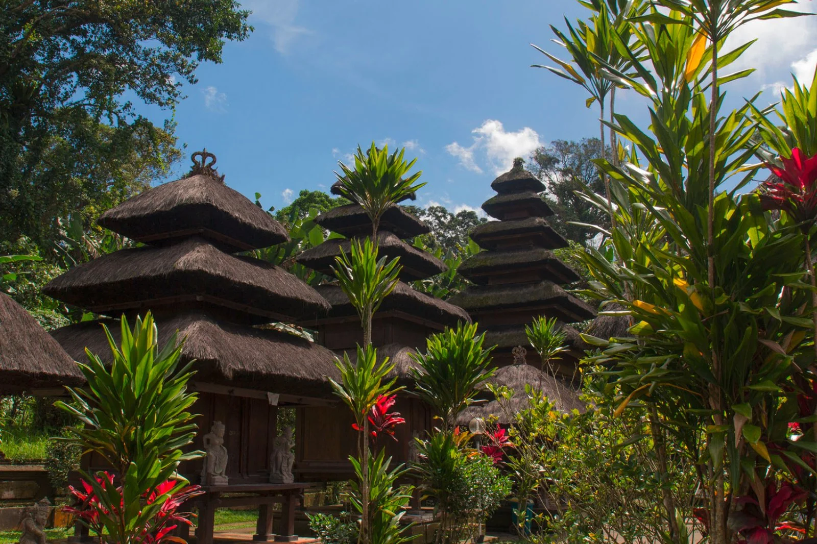 Magic Bali Sq/Qr  Magic Bali Sq/Qr