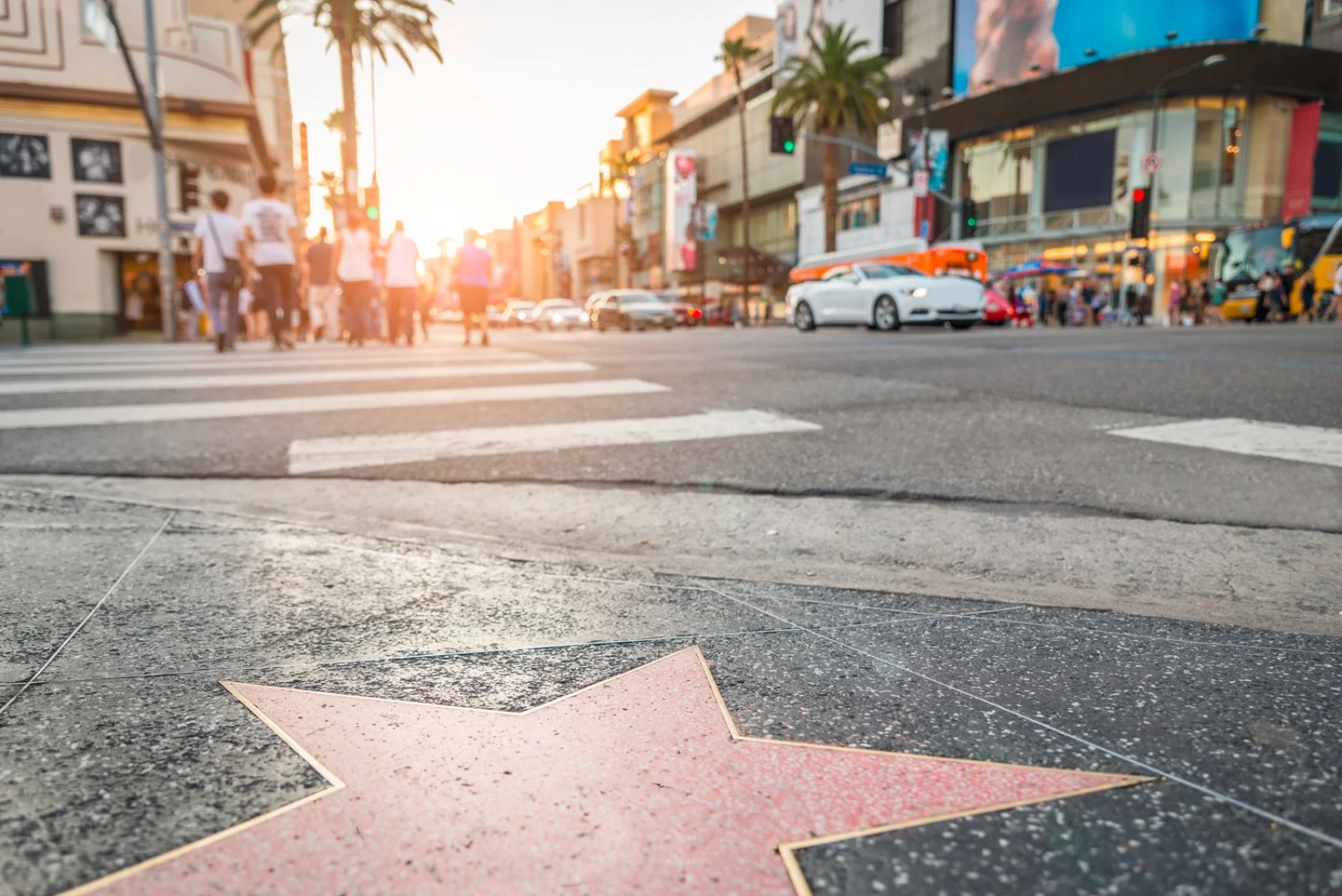 Pre Night Forever West - California, Hollywood, Walk Of Fame