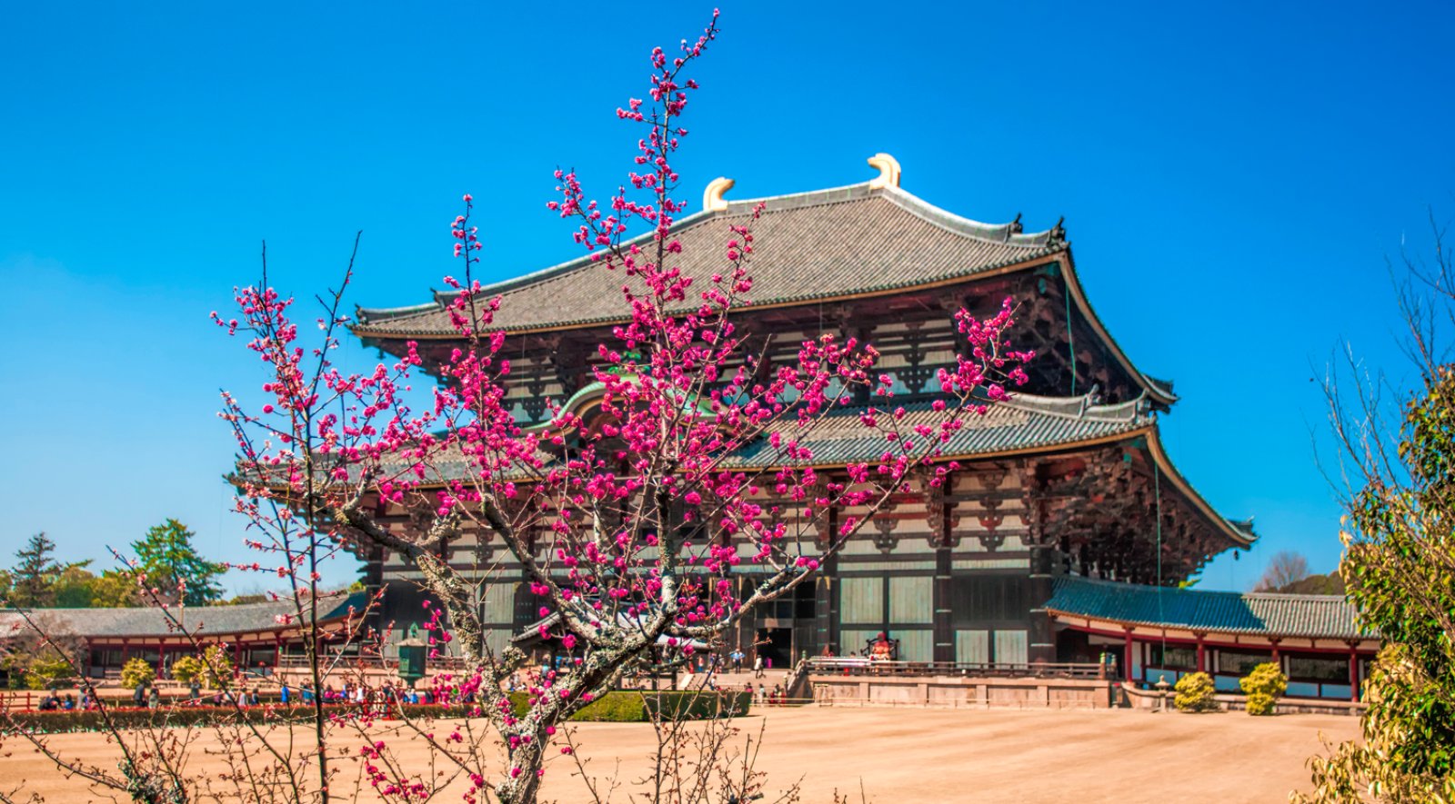 Pagode E Mare Di Cristallo - Nara, Tempio Di Todai-Ji