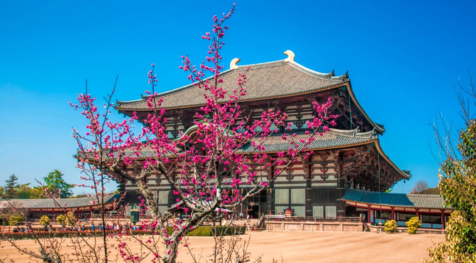 Pagode E Mare Di Cristallo - Nara, Tempio Di Todai-Ji