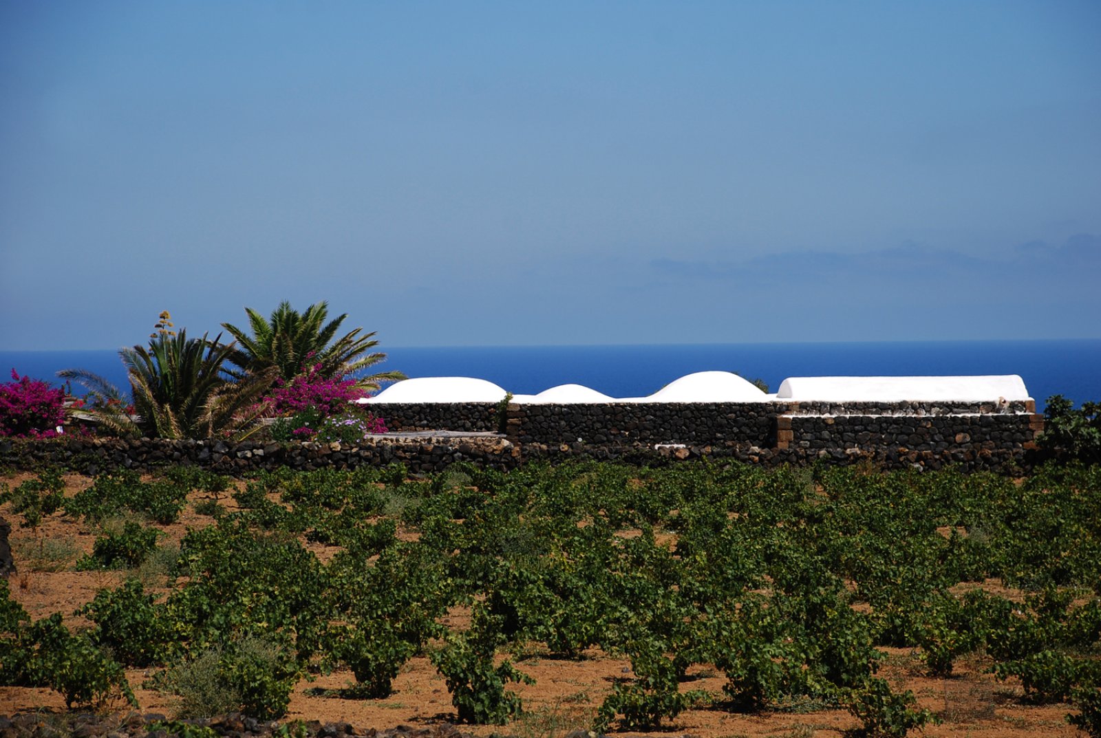 Tour Pantelleria Experience 