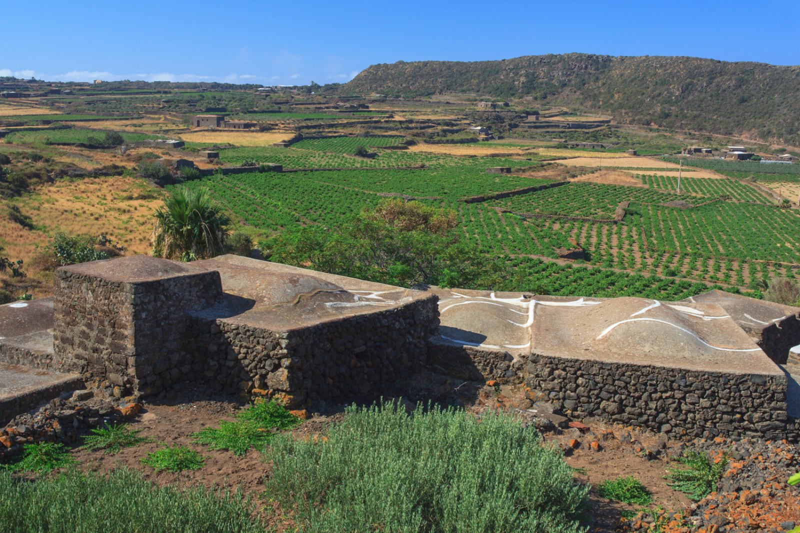 Tour Trekking A Pantelleria 