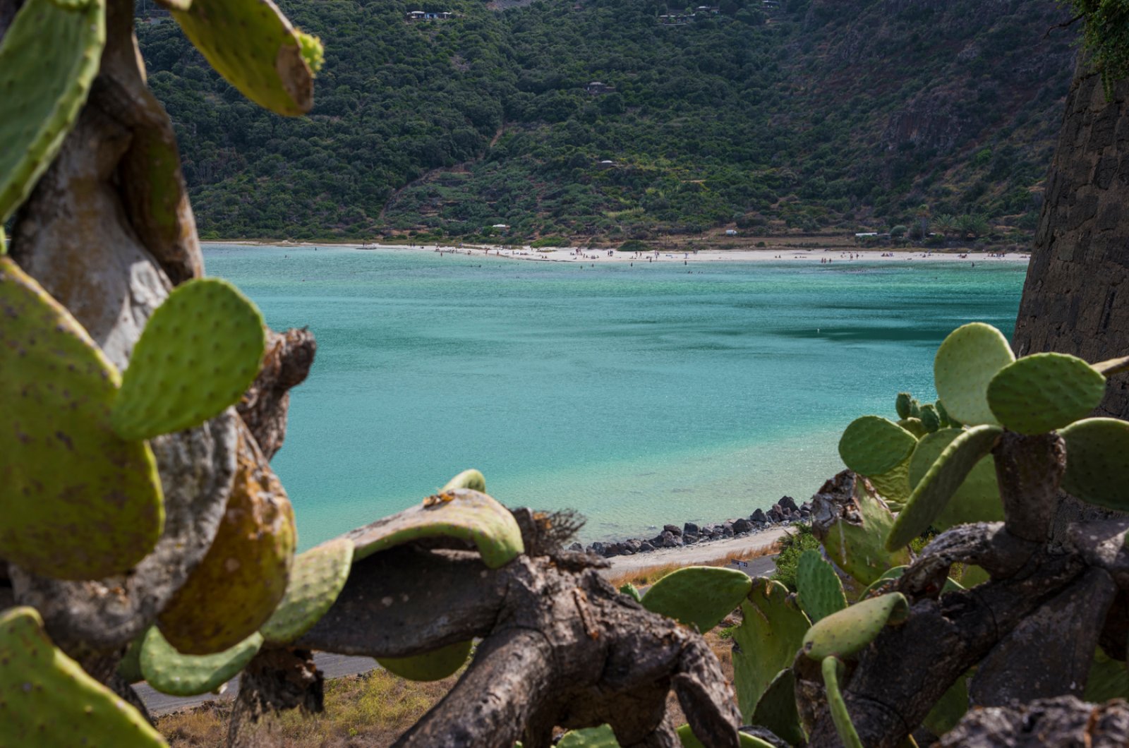 Tour Vendemmia A Pantelleria 