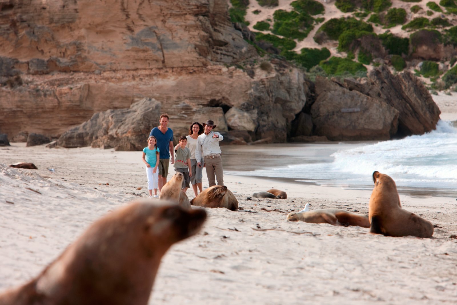 Kangaroo Island Tour 