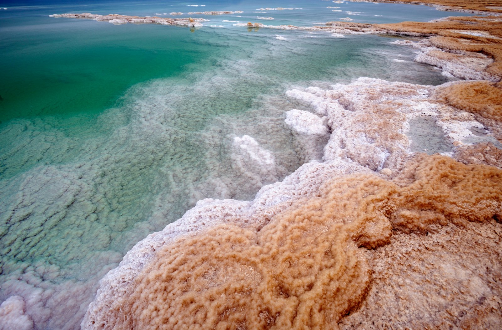 Rosa Del Deserto - Israele, Mar Morto