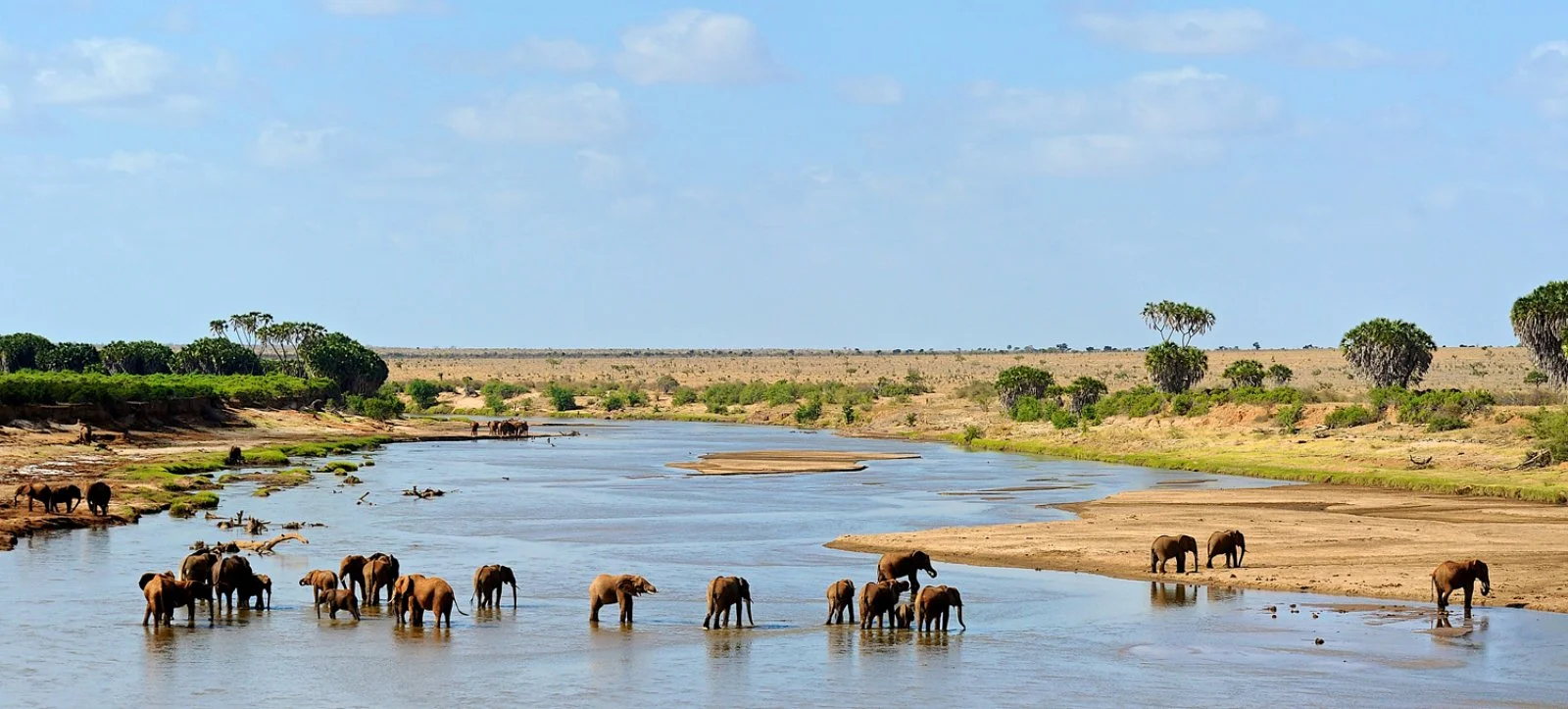 ZANZIBAR/ARUSHA/PARCO NAZIONALE DEL TARANGIRE (150 km)