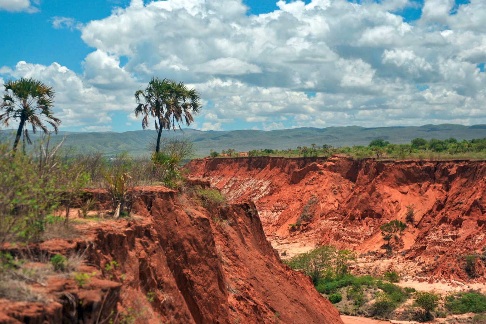 Tour Avaratra E Mare Sabato - Tsingy Rossi