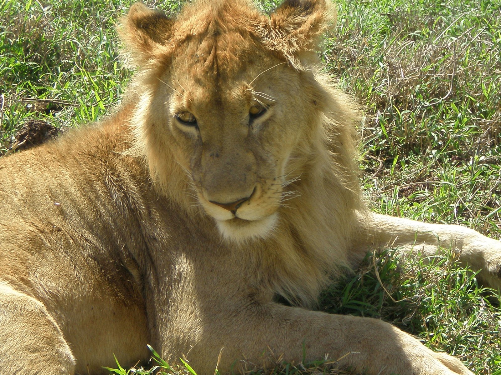 safari tanzania alpitour